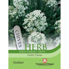 Herb Garlic Chives Herb Garlic Chives
