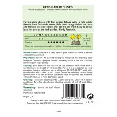 Herb Garlic Chives Herb Garlic Chives