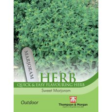 Herb Marjoram Sweet Herb Marjoram Sweet
