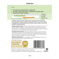 Herb Mint (Peppermint) Herb Mint (Peppermint)