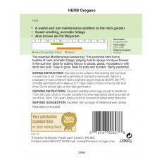 Herb Oregano Herb Oregano