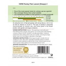 Herb Parsley Plain Leaved (Sheeps) 2 Herb Parsley Plain Leaved (Sheeps) 2