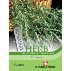 Herb Rosemary Herb Rosemary