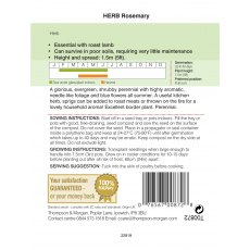 Herb Rosemary Herb Rosemary