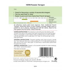 Herb Russian Tarragon Herb Russian Tarragon