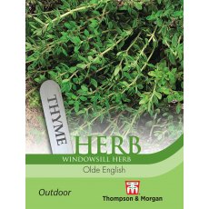 Herb Thyme Olde English Herb Thyme Olde English