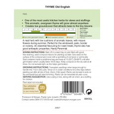 Herb Thyme Olde English Herb Thyme Olde English