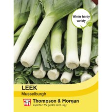 Leek Musselburgh Leek Musselburgh