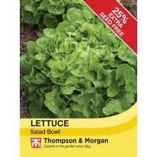 Lettuce Salad Bowl Lettuce Salad Bowl