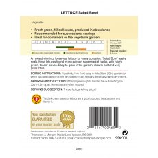Lettuce Salad Bowl Lettuce Salad Bowl