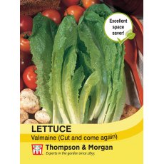 Lettuce Valmaine (Cut and Come Again) Lettuce Valmaine (Cut and Come Again)