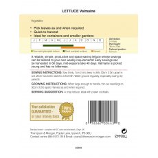 Lettuce Valmaine (Cut and Come Again) Lettuce Valmaine (Cut and Come Again)