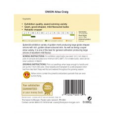 Onion Ailsa Craig Onion Ailsa Craig