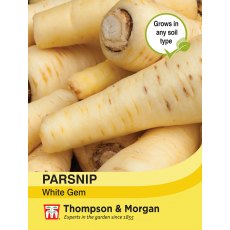 Parsnip White Gem Parsnip White Gem