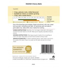 Radish Cherry Belle Radish Cherry Belle