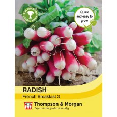 Radish French Breakfast 3 Radish French Breakfast 3