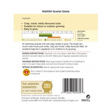 Radish Scarlet Globe Radish Scarlet Globe