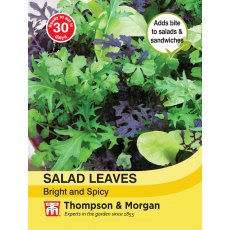 Salad Leaves - Bright and Spicy Salad Leaves - Bright and Spicy