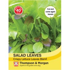 Salad Leaves - Crispy Lettuce Blend Salad Leaves - Crispy Lettuce Blend