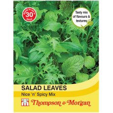 Salad Leaves - Nice n Spicy Mixed Salad Leaves - Nice n Spicy Mixed
