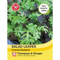 Salad Leaves - Oriental Mustards Salad Leaves - Oriental Mustards