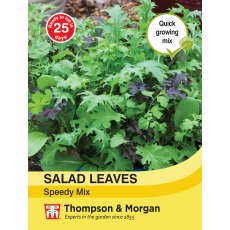 Salad Leaves - Speedy Mix Salad Leaves - Speedy Mix