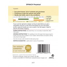 Spinach Perpetual Spinach Perpetual