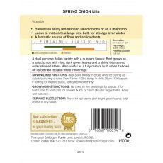 Spring Onion Lilia Spring Onion Lilia