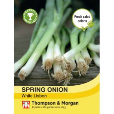 Spring Onion White Lisbon Spring Onion White Lisbon