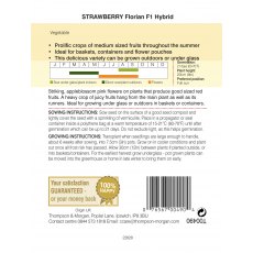 Strawberry Florian F1 Strawberry Florian F1