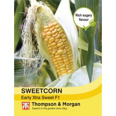Sweetcorn Early Xtra Sweet F1 Hybrid Sweetcorn Early Xtra Sweet F1 Hybrid