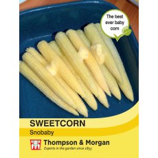 Sweetcorn Snobaby Sweetcorn Snobaby