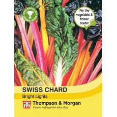 Swiss Chard Bright Lights Swiss Chard Bright Lights