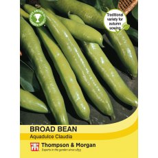 Broad Bean Aquadulce Claudia Broad Bean Aquadulce Claudia