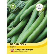 Broad Bean Express Broad Bean Express