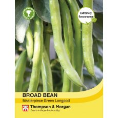 Broad Bean Masterpiece Green Longpod Broad Bean Masterpiece Green Longpod