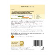 Climbing Bean Blauhilde Climbing Bean Blauhilde