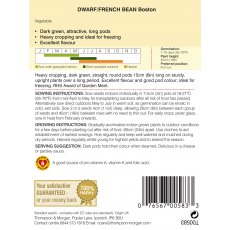 Dwarf Bean Boston Dwarf Bean Boston