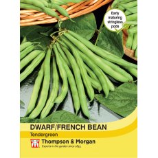 Dwarf Bean Tendergreen Dwarf Bean Tendergreen
