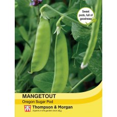 Mangetout Oregon Sugar Pod Mangetout Oregon Sugar Pod