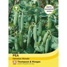 Pea Kelvedon Wonder Pea Kelvedon Wonder