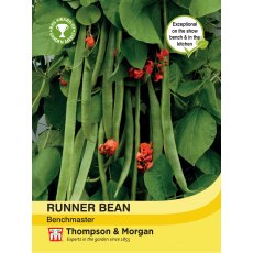Runner Bean Benchmaster Runner Bean Benchmaster