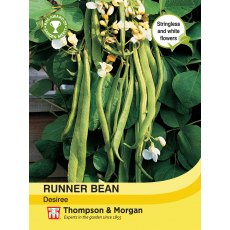 Runner Bean Desiree Runner Bean Desiree