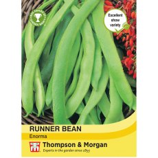 Runner Bean Enorma Runner Bean Enorma