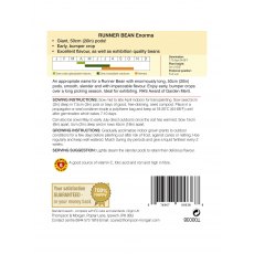 Runner Bean Enorma Runner Bean Enorma