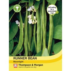 Runner Bean Moonlight Runner Bean Moonlight