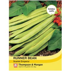 Runner Bean Scarlet Emperor Runner Bean Scarlet Emperor