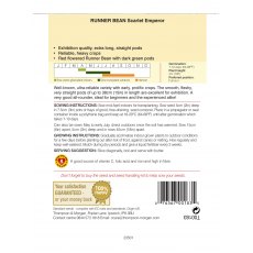 Runner Bean Scarlet Emperor Runner Bean Scarlet Emperor