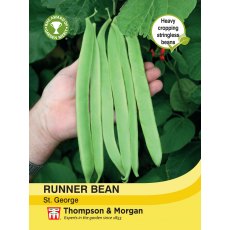 Runner Bean St. George Runner Bean St. George