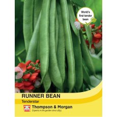 Runner Bean Tenderstar Runner Bean Tenderstar